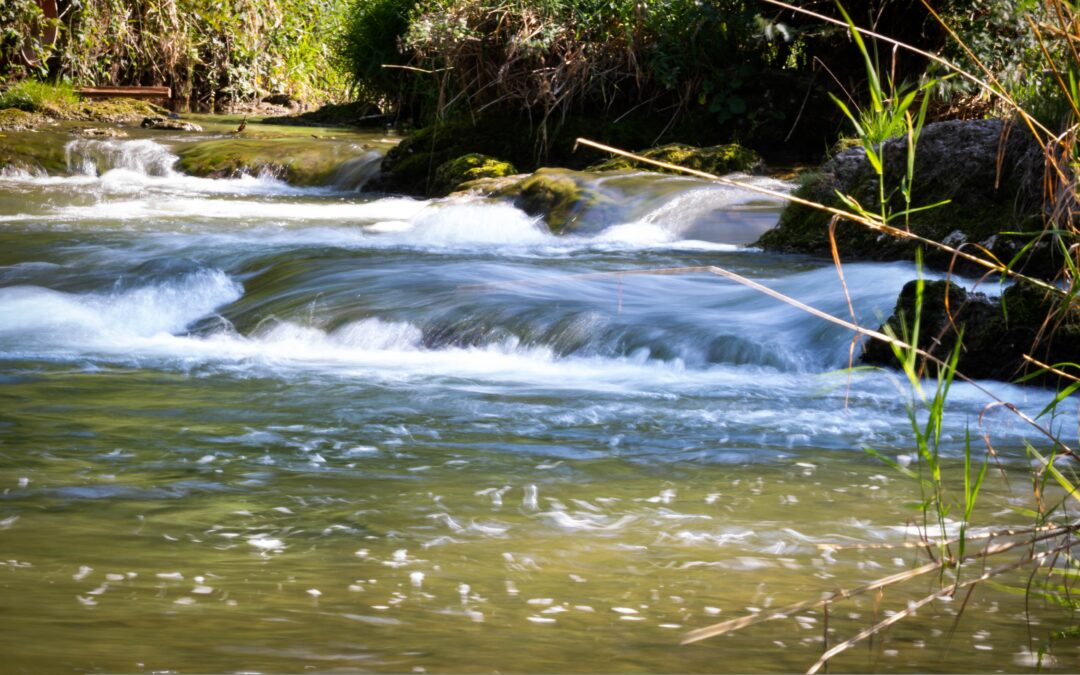 Im Fluss des Lebens schwimmen
